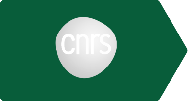Le logo du partenaire CNRS